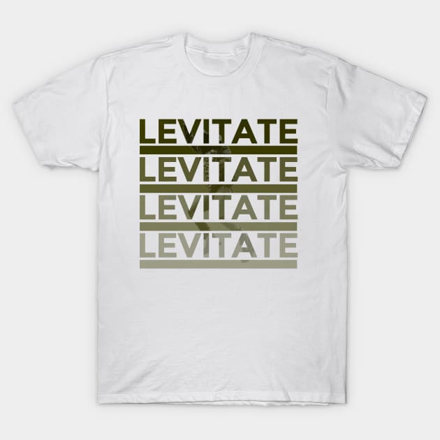 Kendrick Lamar - Levitate Tee T-Shirt by SteddersMedia